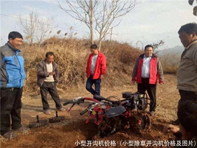 小型开沟机价格(小型除草开沟机价格及图片)