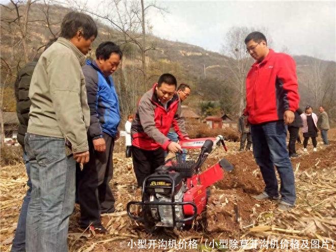 小型开沟机价格(小型除草开沟机价格及图片)
