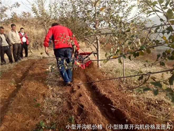 小型开沟机价格(小型除草开沟机价格及图片)