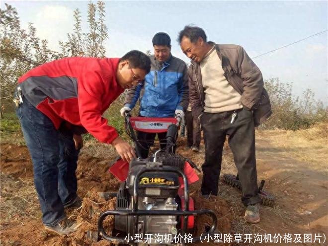 小型开沟机价格(小型除草开沟机价格及图片)