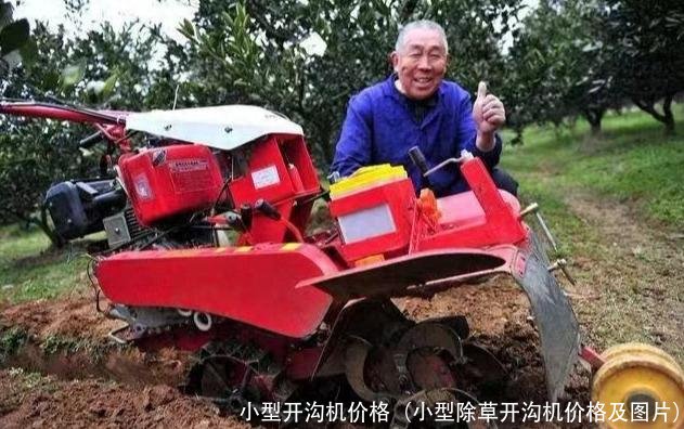 小型开沟机价格(小型除草开沟机价格及图片)