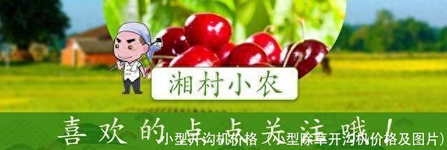 小型开沟机价格(小型除草开沟机价格及图片)