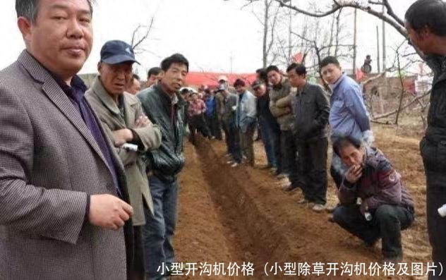 小型开沟机价格(小型除草开沟机价格及图片)