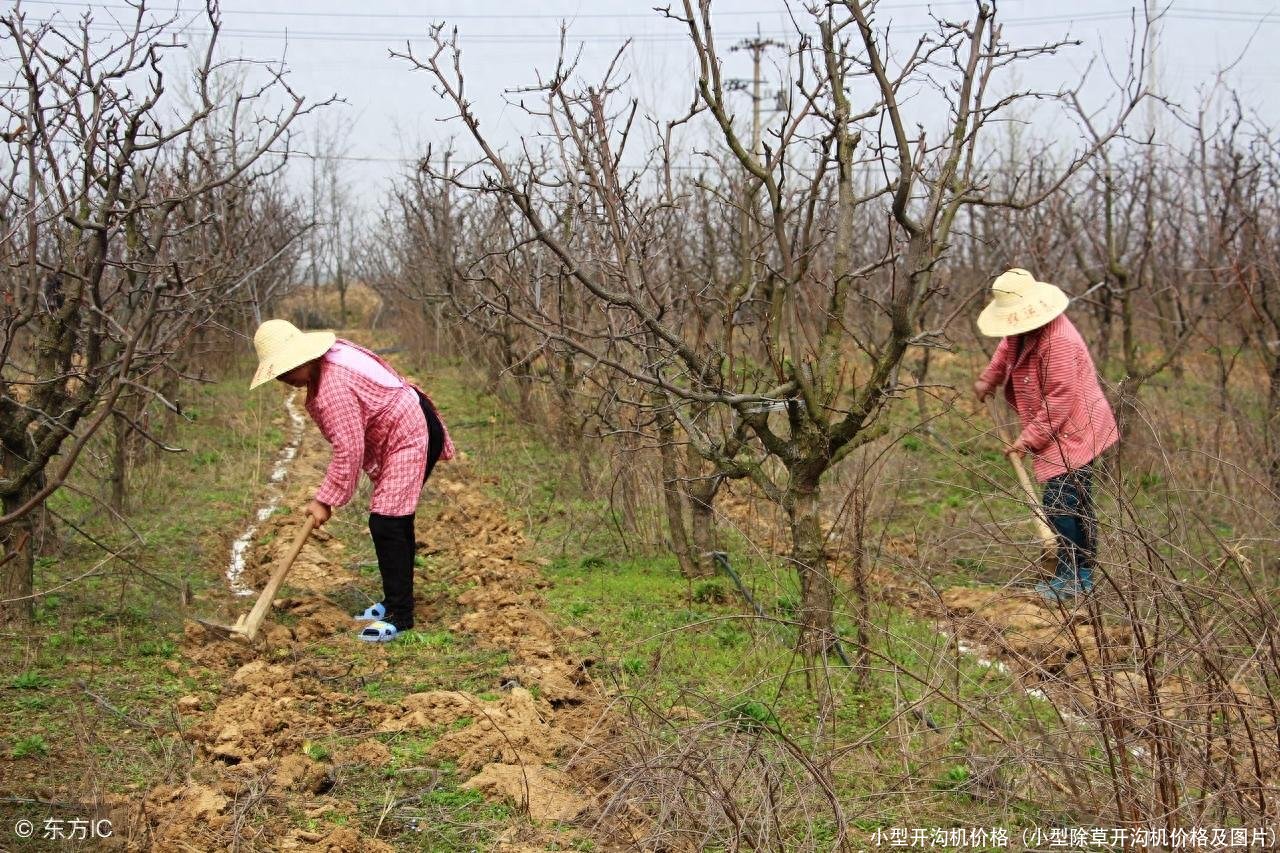 小型开沟机价格(小型除草开沟机价格及图片)