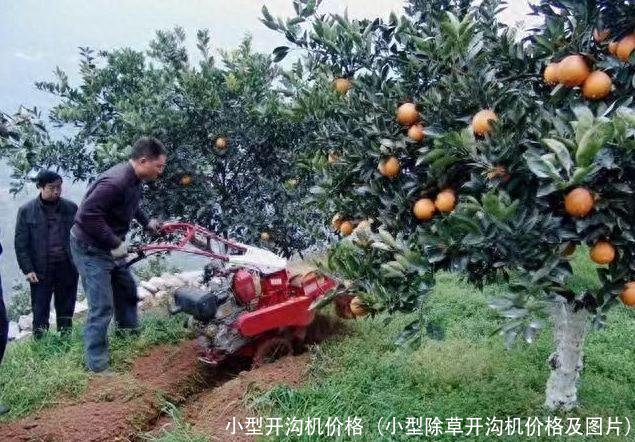 小型开沟机价格(小型除草开沟机价格及图片)