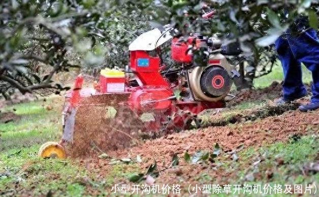 小型开沟机价格(小型除草开沟机价格及图片)