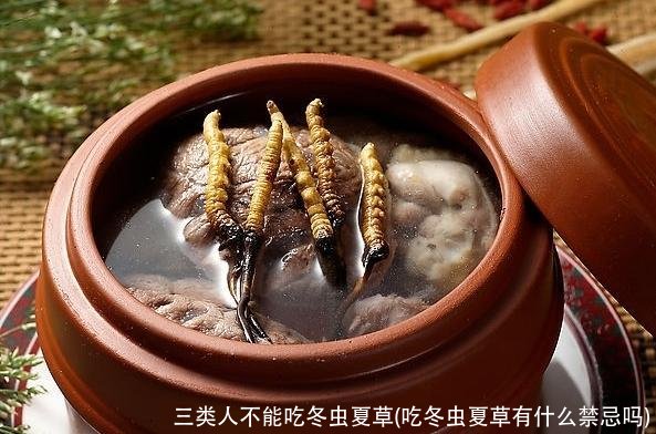 冬虫夏草食谱大全,不同人群冬虫夏草的用量和用法大不相同