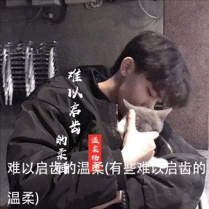 难以启齿的温柔(有些难以启齿的温柔)
