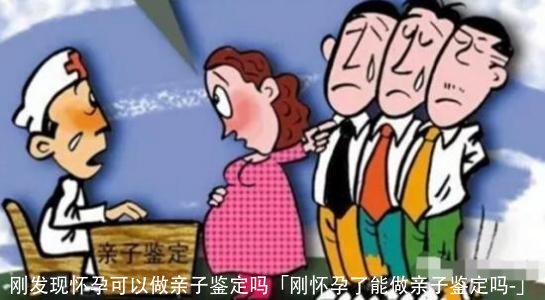 刚发现怀孕可以做亲子鉴定吗「刚怀孕了能做亲子鉴定吗?」