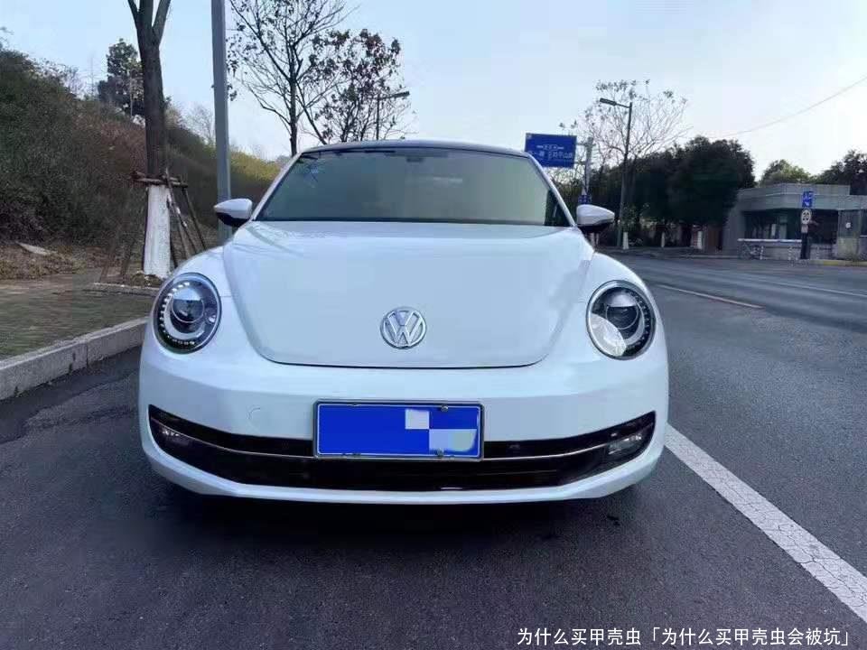 为什么买甲壳虫「为什么买甲壳虫会被坑」