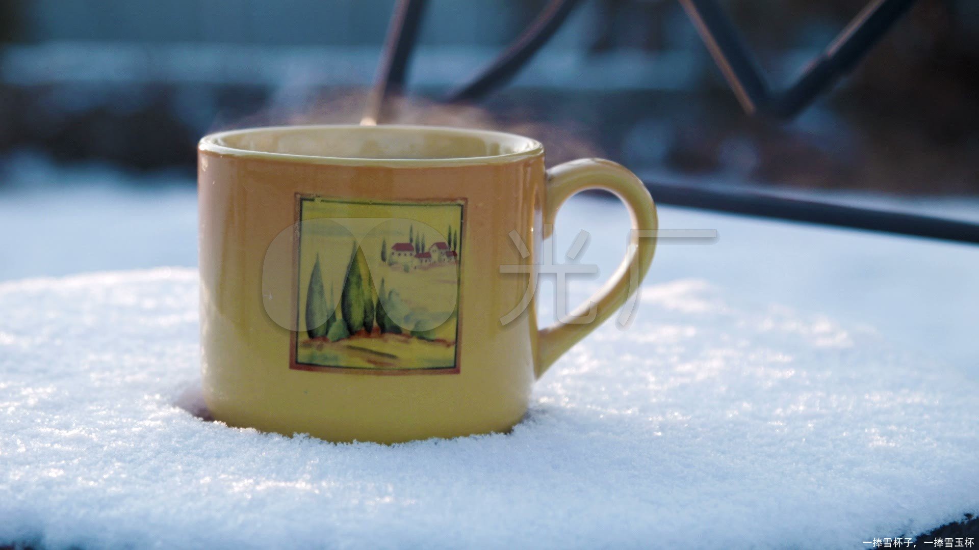 一捧雪杯子