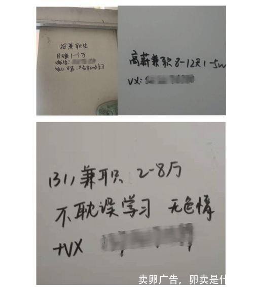 卖卵广告,卵卖是什么字