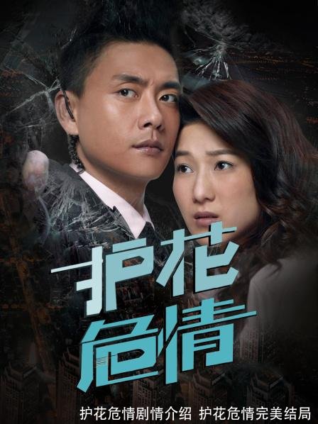 护花危情剧情介绍  护花危情完美结局 