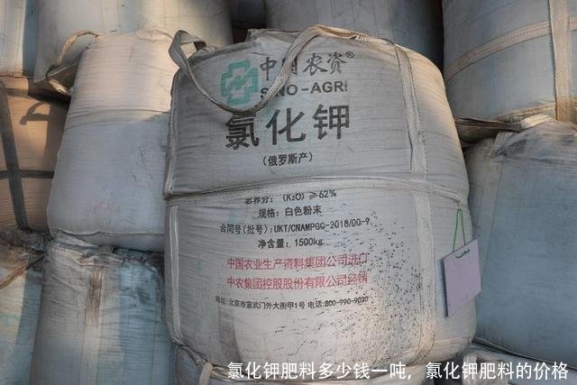 氯化钾肥料多少钱一吨,氯化钾肥料的价格