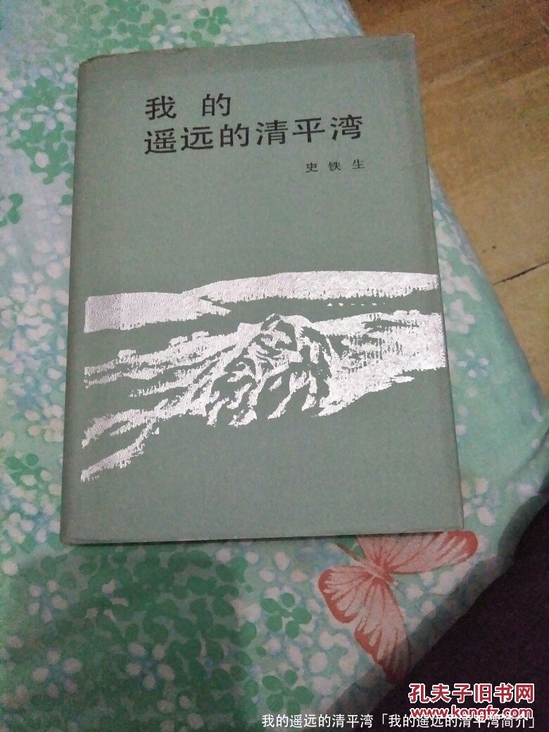 我的遥远的清平湾「我的遥远的清平湾简介」