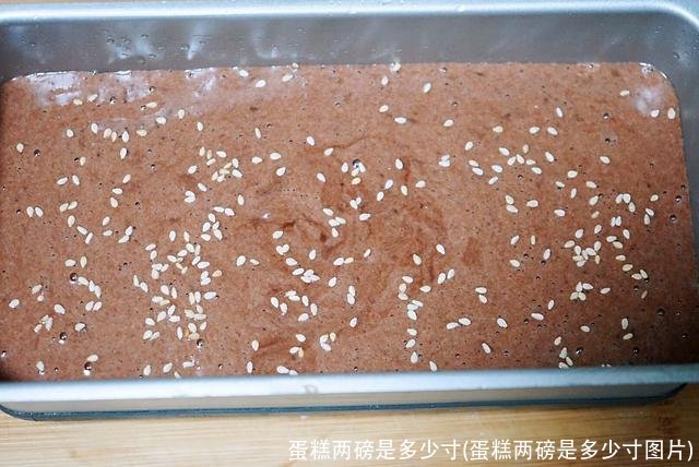 蛋糕两磅是多少寸(蛋糕两磅是多少寸图片)