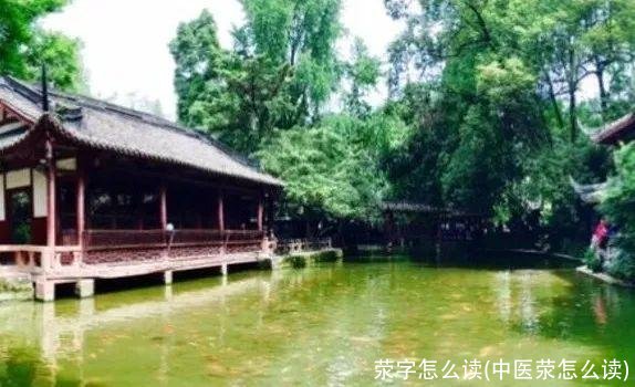 荥字怎么读(中医荥怎么读)