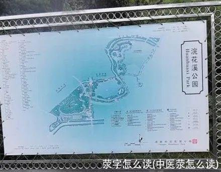 荥字怎么读(中医荥怎么读)