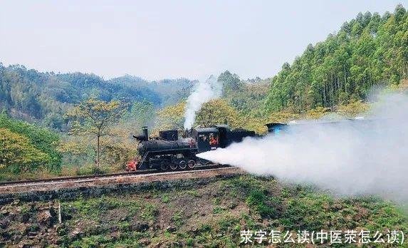 荥字怎么读(中医荥怎么读)