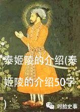 泰姬陵的介绍(泰姬陵的介绍50字)