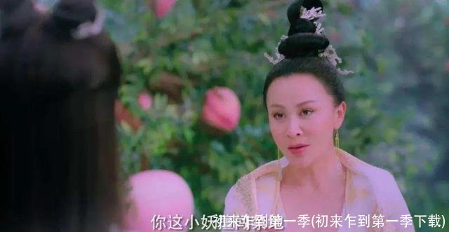 初来乍到第一季(初来乍到第一季下载)