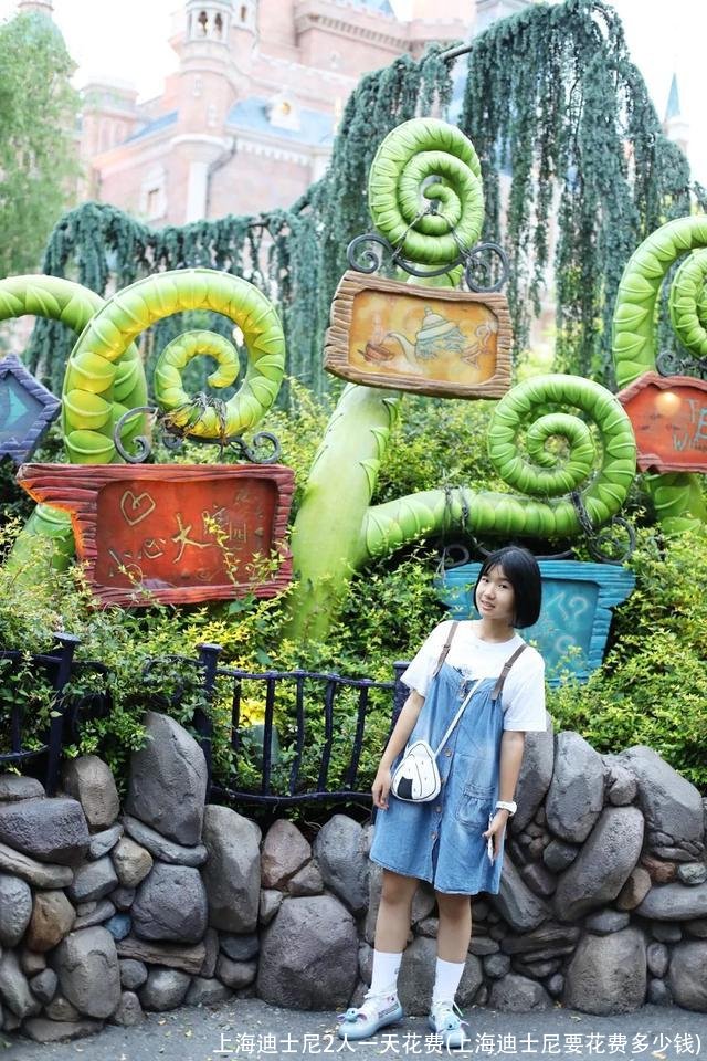 上海迪士尼2人一天花费(上海迪士尼要花费多少钱)