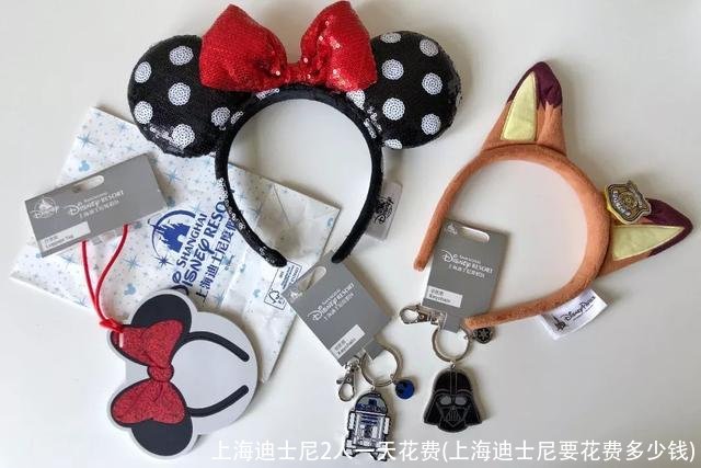 上海迪士尼2人一天花费(上海迪士尼要花费多少钱)
