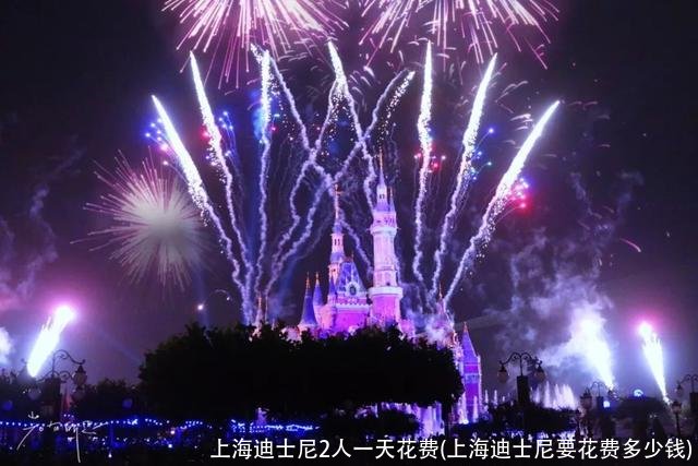 上海迪士尼2人一天花费(上海迪士尼要花费多少钱)