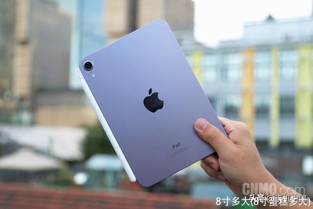 8寸多大(8寸蛋糕多大)