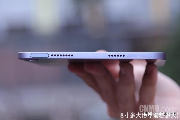 8寸多大(8寸蛋糕多大)