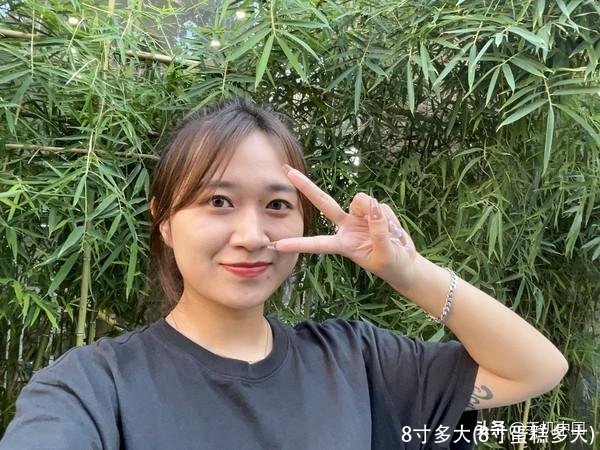 8寸多大(8寸蛋糕多大)