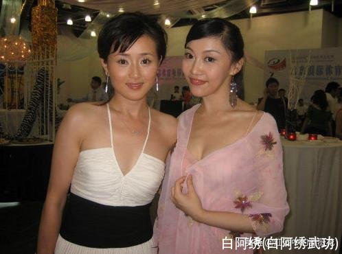 白阿绣(白阿绣武功)