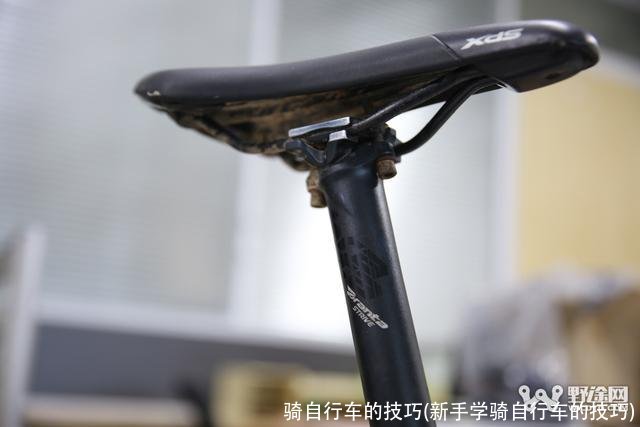 骑自行车的技巧(新手学骑自行车的技巧)