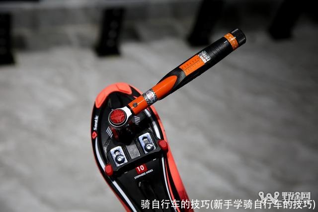 骑自行车的技巧(新手学骑自行车的技巧)