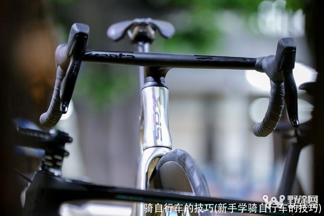 骑自行车的技巧(新手学骑自行车的技巧)