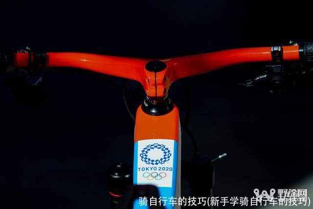 骑自行车的技巧(新手学骑自行车的技巧)