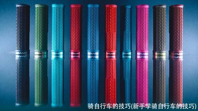 骑自行车的技巧(新手学骑自行车的技巧)