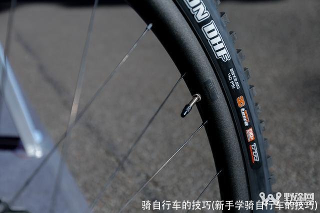 骑自行车的技巧(新手学骑自行车的技巧)