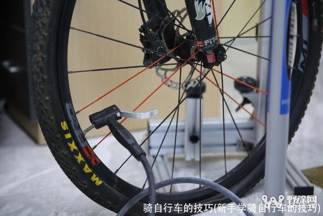 骑自行车的技巧(新手学骑自行车的技巧)
