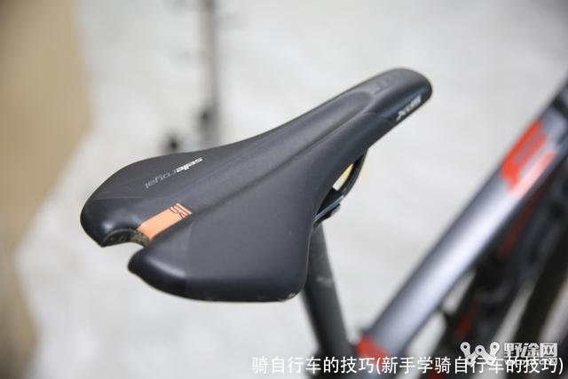 骑自行车的技巧(新手学骑自行车的技巧)