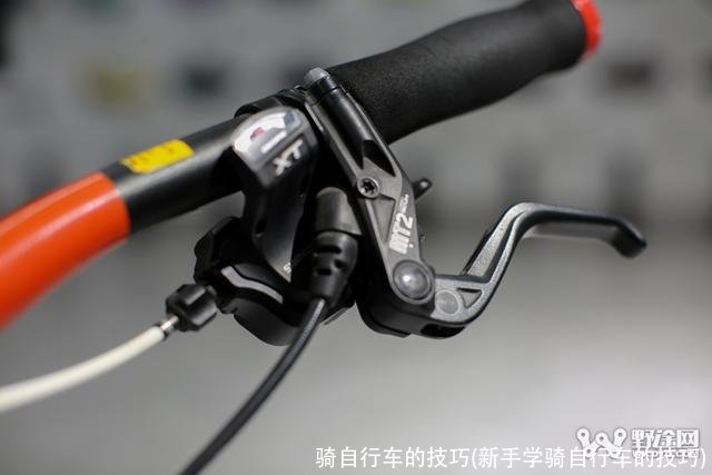 骑自行车的技巧(新手学骑自行车的技巧)