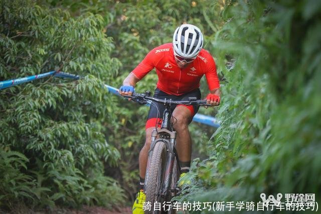 骑自行车的技巧(新手学骑自行车的技巧)