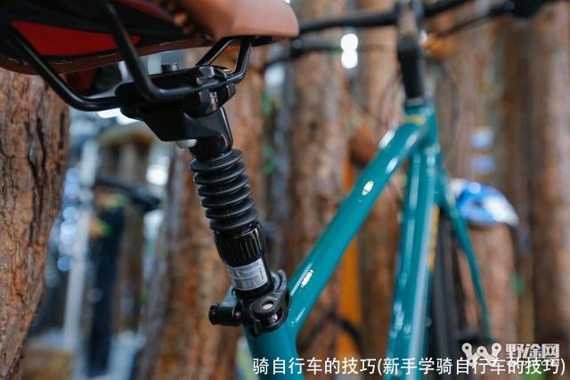 骑自行车的技巧(新手学骑自行车的技巧)