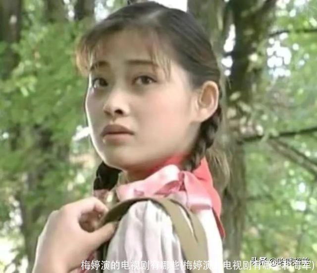 梅婷演的电视剧有哪些(梅婷演的电视剧有哪些和海军)