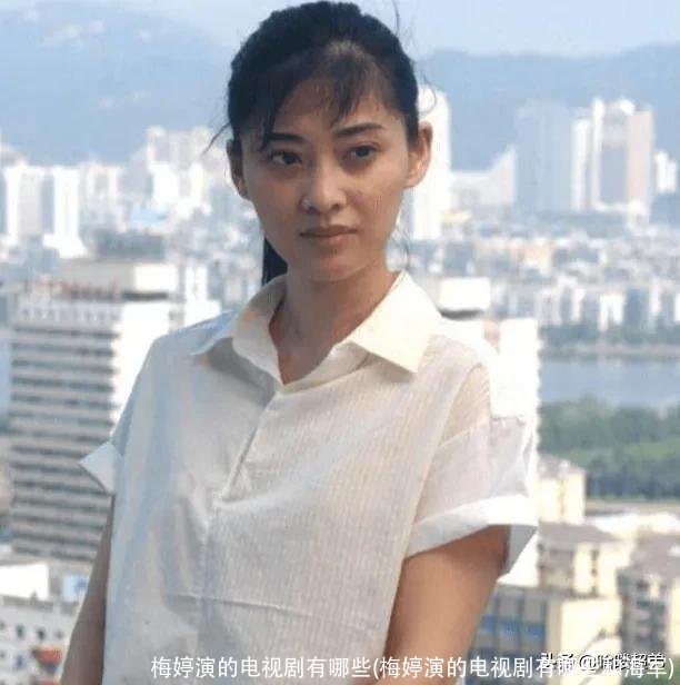 梅婷演的电视剧有哪些(梅婷演的电视剧有哪些和海军)
