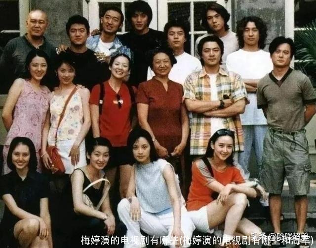 梅婷演的电视剧有哪些(梅婷演的电视剧有哪些和海军)