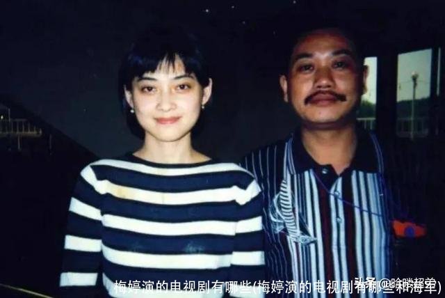 梅婷演的电视剧有哪些(梅婷演的电视剧有哪些和海军)