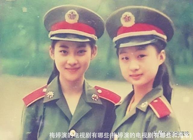 梅婷演的电视剧有哪些(梅婷演的电视剧有哪些和海军)