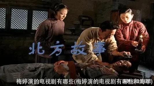 梅婷演的电视剧有哪些(梅婷演的电视剧有哪些和海军)