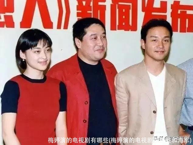 梅婷演的电视剧有哪些(梅婷演的电视剧有哪些和海军)